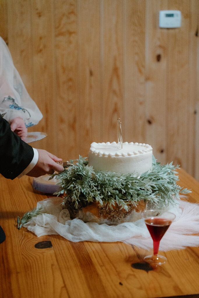 photo of cake cutting at wedding reception